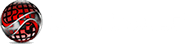 CI Web Group Digital Marketing Agency