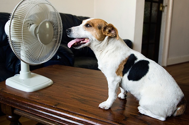 5 Tips to Save Money This Summer & Stay Cool!